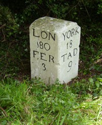 Milestone Society ID YN_DNTC_18a